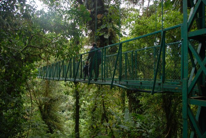 Puentes colgantes en Selvatura