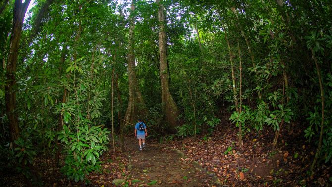 Senderismo en el Parque Nacional Carara cerca de Jacó