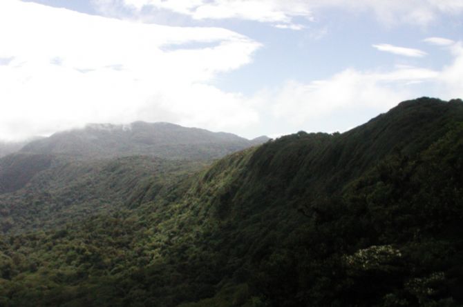 Vista por encima del Canopy en la Reserva del bosque nuboso de Monteverde