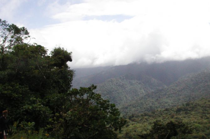 Vista de la Reserva de Monteverde