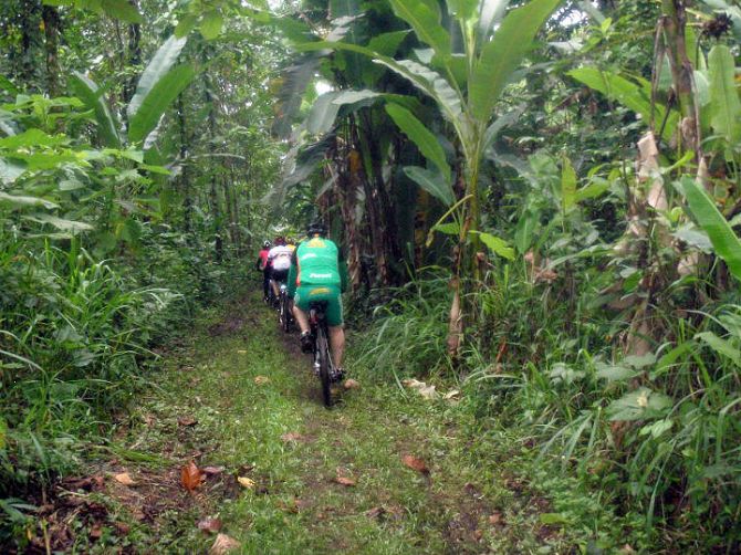Andando en bicicleta en el bosque lluvioso con Ciclismo Earth Costa Rica