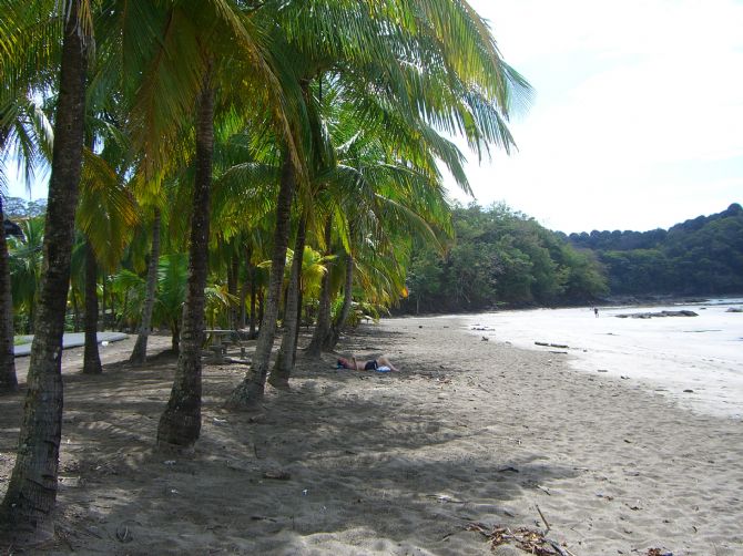 Relajandose bajo las palmeras en Playa Carrillo