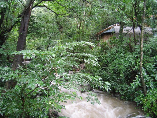 Rio en el Parque Nacional  Rincon de la Vieja