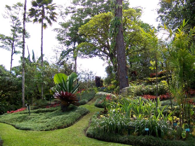 Jardines Botanicos Wilson en la Estacion Biologica Las Cruces