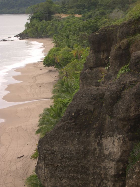 Refugio Nacional de Vida Silvestre CurÃº, Costa Rica - GuÃ­a de la Ciudad