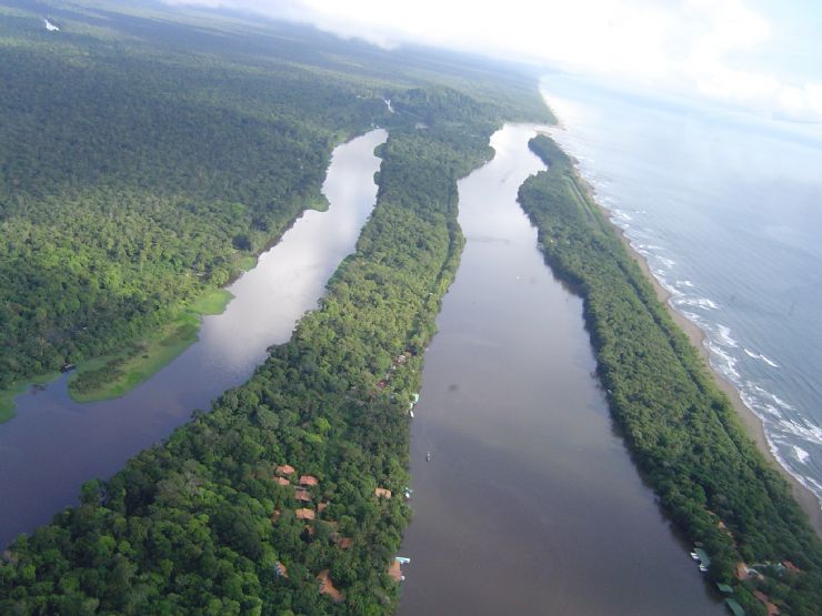 Navegando por los canales de Tortuguero