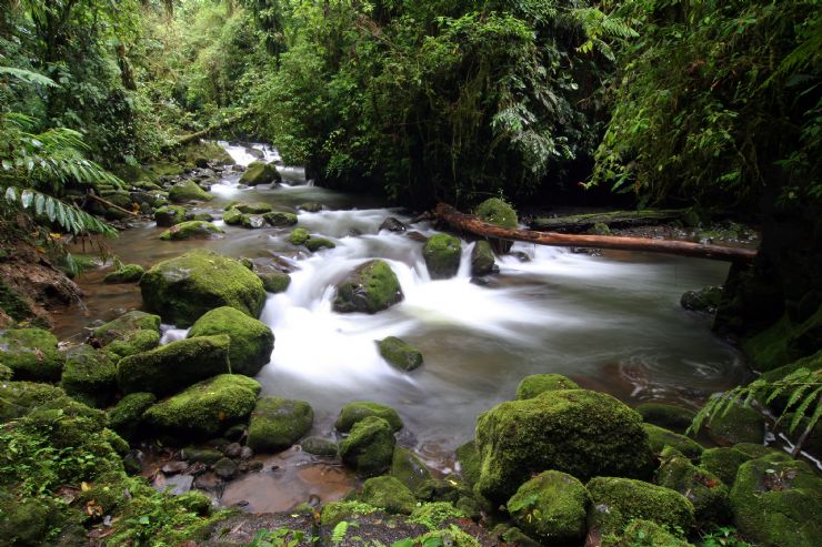 Hermoso rio en la Cordillera de Tilaran