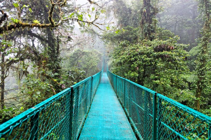 Puente colgante hermosa en Monteverde