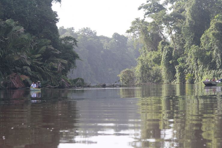 Navegando por las aguas del Parque Nacional Tortuguero