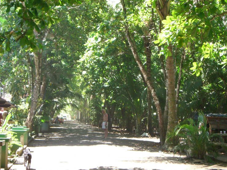 Camino en Dominical, junto a Hatillo