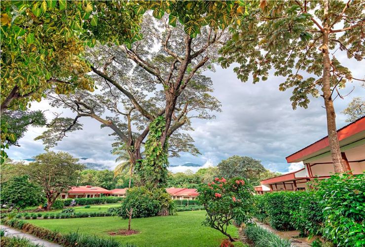 Hermosos Alrededores en Hotel Hacienda Guachipelin