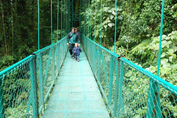 Facil y hermoso, asi se camina por los puentes colgantes en Monteverde