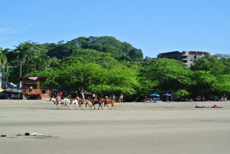 Los paseos a caballo son otro atractivo ed Tamarindo