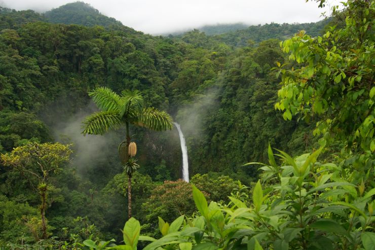 Catarata La Fortuna rodeada por completo de selva