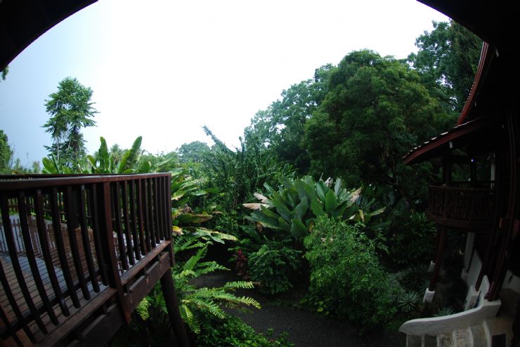 Edificio Principal en Playa Nicuesa Rainforest Lodge