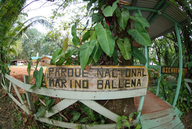 image voluntariados full parque nacional marino ballena