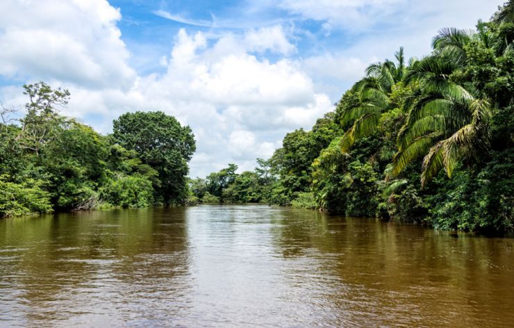 Rio Frio en Los Chiles