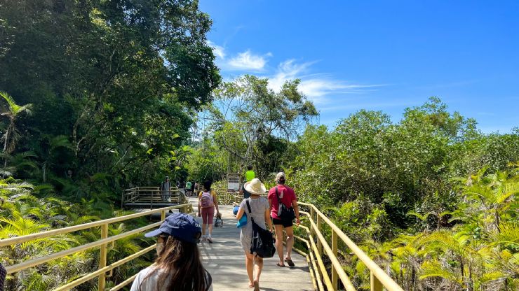 Caminando por un sendero elevado en el Parque Nacional Manuel Antonio