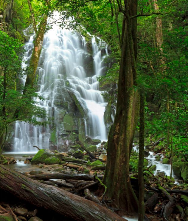 Resultado de imagen para parque nacional volcan rincon de la vieja costa rica