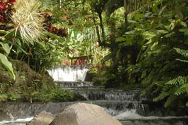 Cascada y puente en las aguas termales de tabacon, Volcan Arenal