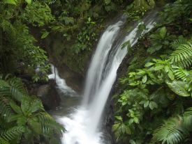 Area de Monteverde