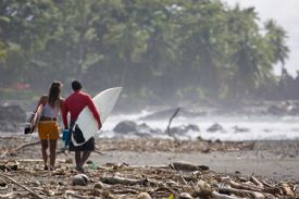 Surfeando