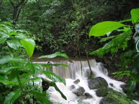 Cascada en el rio de Rincon de la Vieja