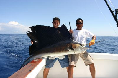 Pesca Deportiva en Limón, Costa Rica - Pesque el Marlin Azu, el Pez Dorado  y el Pez Vela en Limón, Costa Rica - Go Visit Costa Rica