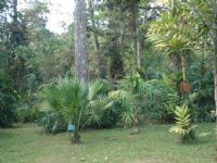 Eco-turistas encuentran la mejor flora en el Jardín Botánico Lankaster