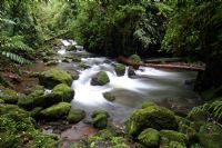 Rios Tropicales en Costa Rica - Galeria de Fotos
