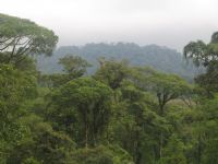 Parque Nacional Braulio Carrillo