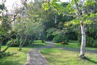 Jardin Botánico Lankester