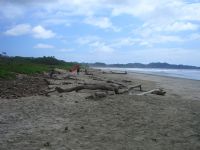 Playa Guiones