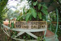 Parque Nacional Marino Ballena