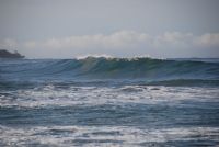 Vea la altura de las Olas en Playa Langosta