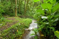 Atracciones culturales y naturales en Guápiles