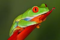 Refugio Nacional de Vida Silvestre Gandoca - Manzanillo