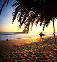 Surf en Costa Rica - Galeria de Fotos