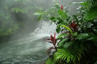 Relajese en las aguas termales