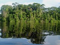 Tortuguero el sueño de un eco-turista