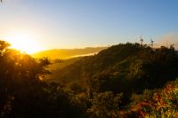 Parque Nacional Tapantí - Macizo Cerro de la Muerte