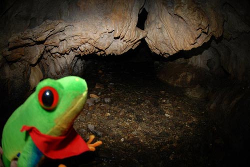 Javi the Frog entering the Venado Caves