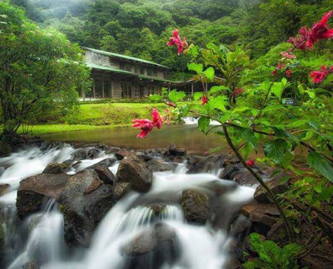 Relajase aqui en Bosque de Paz