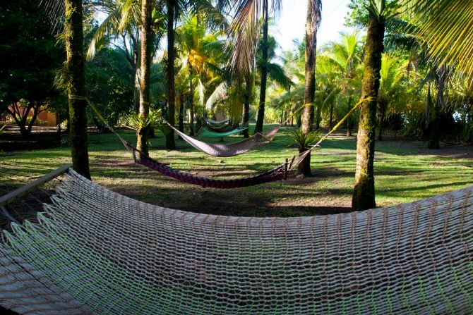 Disfrute de la naturaleza en Turtle Beach Lodge