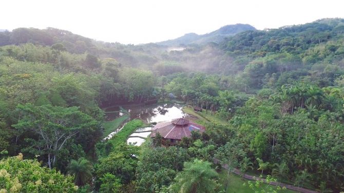 Paraiso dentro de la naturaleza en Macaw Lodge