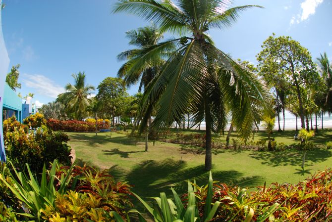 Playa frente a Alma Del Pacifico