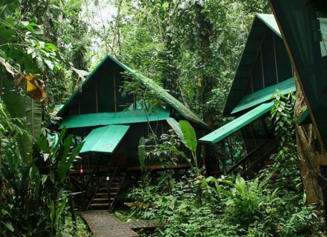 Hermosas habitaciones rodeadas de naturaleza