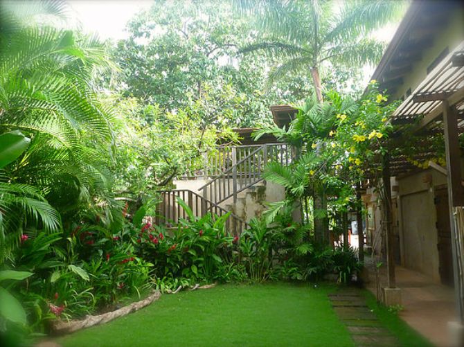 Jardines del hotel en Cafe Playa Negra