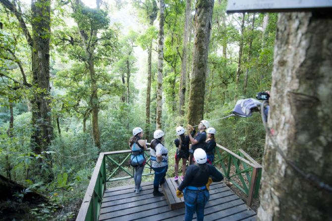 Tours de canopy disponibles