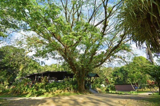 Area de recepcion en Chachagua Rainforest Eco Lodge